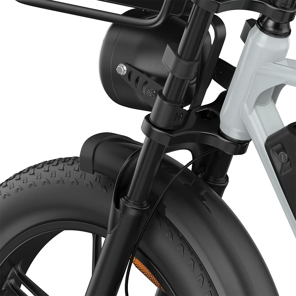 PIXAR® M9 Retro Electric Bike 25km/h
