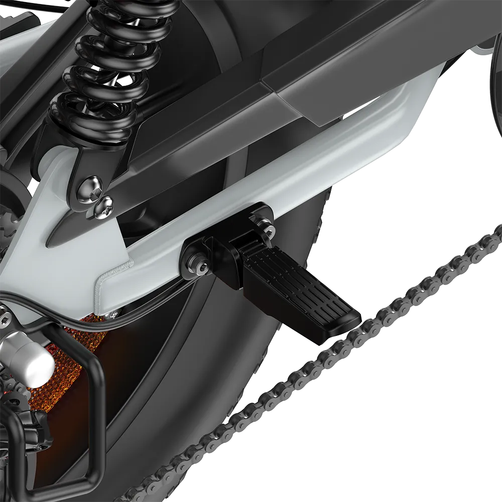 PIXAR® M9 Retro Electric Bike 25km/h